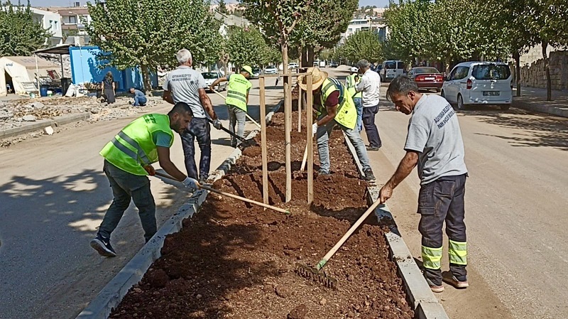 Adıyaman Belediyesi, Refüj ve Kavşakların Bakım, Onarım Çalışmalarına Devam Ediyor