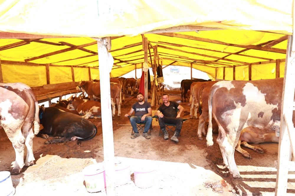 GEBZE’DE KURBAN SATIŞ ALANI HAZIR