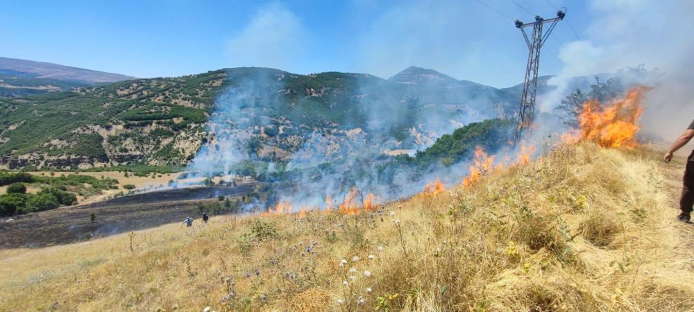 BİNGÖL’ÜN 2 İLÇESİNDE ÇIKAN ORMAN YANGINI SÖNDÜRÜLDÜ