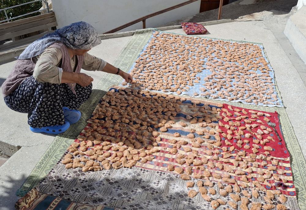 BEYPAZARI KADINLARININ GELENEKSEL KIŞ HAZIRLIKLARI: TARHANA VE SALÇA