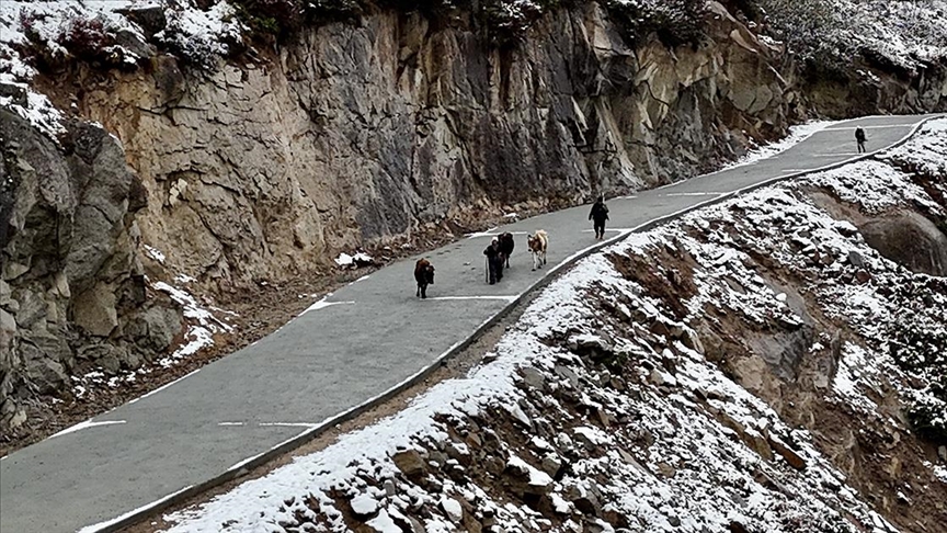 ÇAMLIHEMŞİN YAYLACILARI KÖYE DÖNÜYOR: 2024 YAYLA SEZONU TAMAMLANDI