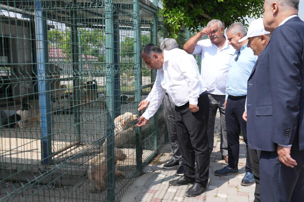 GENİŞLETİLEN BÖLGEDE TEDAVİ, BAKIM VE KISIRLAŞTIRMA İŞLEMLERİYLE BİRLİKTE, DOĞAL YAŞAM ALANI DA OLUŞTURULDU