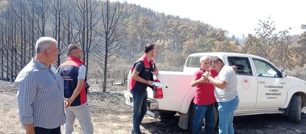 GELİBOLU’DA YANGIN SONRASI HASAR TESPİT ÇALIŞMALARI BAŞLADI