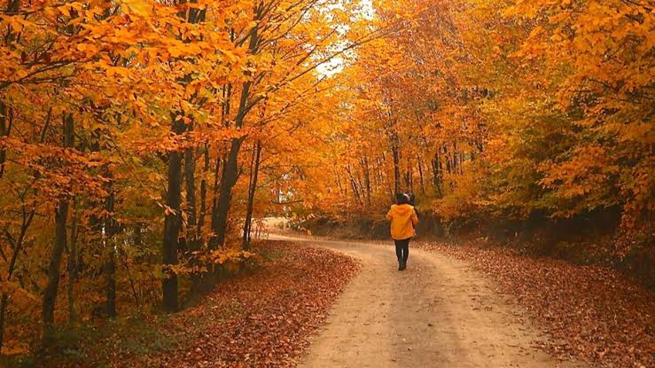 EYLÜL AYI BAŞLADI: SONBAHAR RESMEN KAPIDA