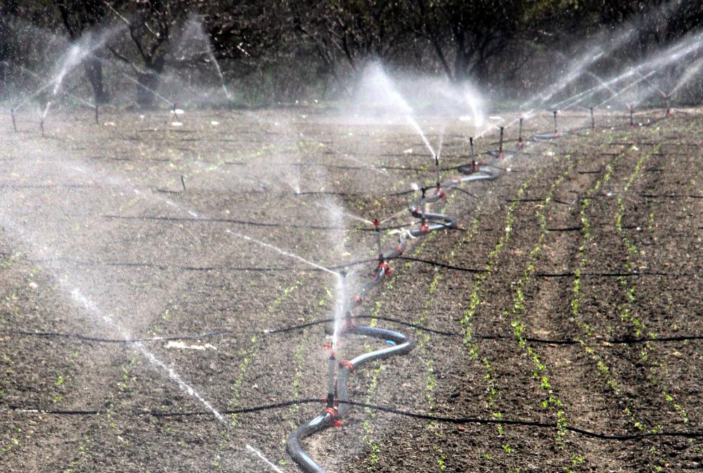 BEYPAZARI ZİRAAT ODASI BAŞKANI MUSTAFA ATEŞ: “ARTIK DAMLA SULAMA SİSTEMİ YÖNTEMİNE GEÇMELİYİZ”