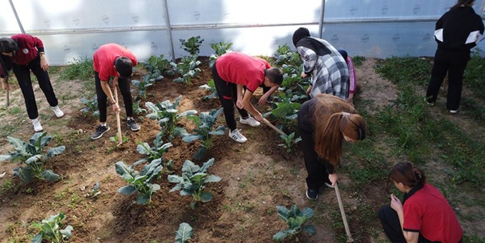ADANA’DA YEŞİL ENERJİ HAMLESİ: REKOR BAŞVURU!