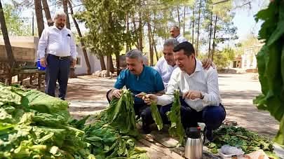 Milletvekili Mustafa Alkayış: Adıyaman’da Tütün Alımları 3 Kasım’da Başlıyor