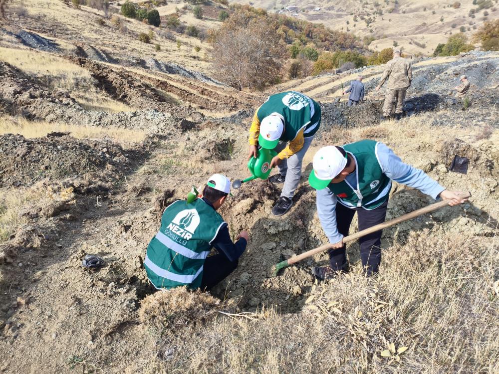 ADIYAMAN NEZİR DERNEĞİ’NDEN 11 KASIM MİLLİ AĞAÇLANDIRMA GÜNÜ’NE DESTEK
