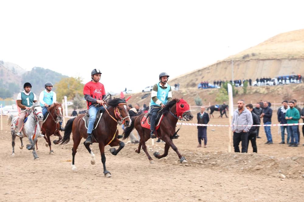 Adıyaman’ın İl Oluşunun 71. Yılı Rahvan At Yarışlarıyla Kutlandı