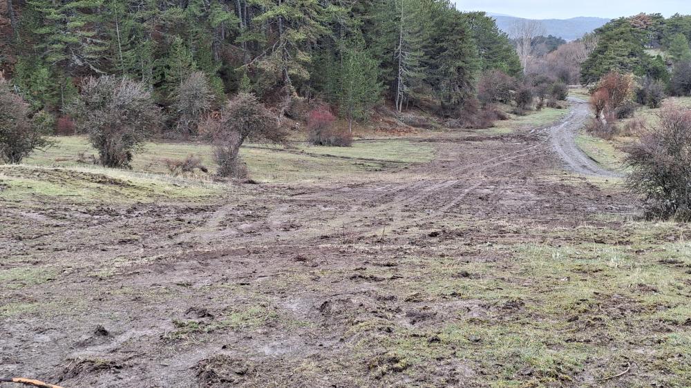 KARAGÖL\'DE KIZAK ŞENLİĞİ YAPILACAK ALANDA PİST DÜZENLEMESİ YAPILDI: