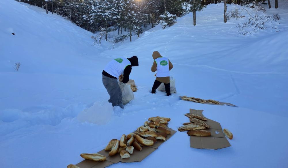 BİNGÖL\'DE SOĞUK HAVADA HAYVANLAR UNUTULMADI