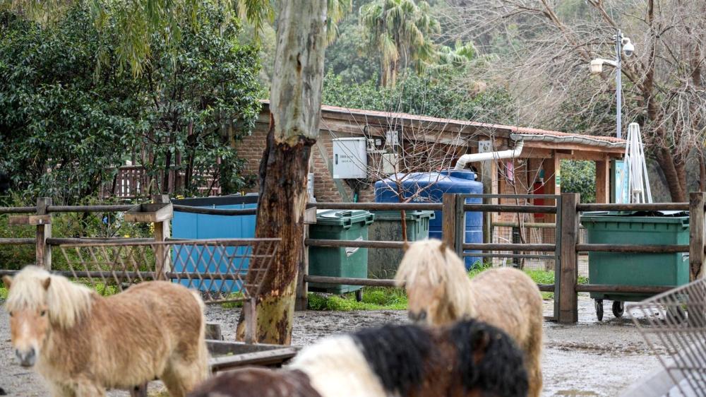 İZMİR’DE YAĞMUR SUYU HASADI YAYGINLAŞIYOR