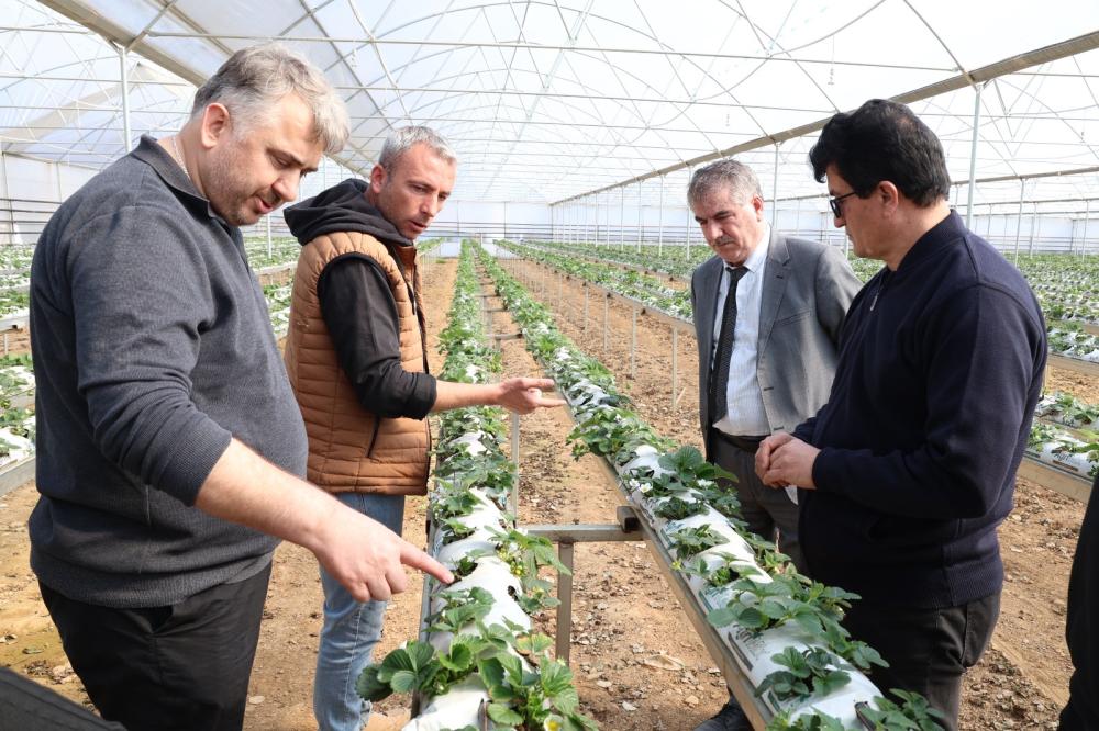 HBB ÇİLEK YETİŞTİRİCİLİĞİ KURSU VERDİ