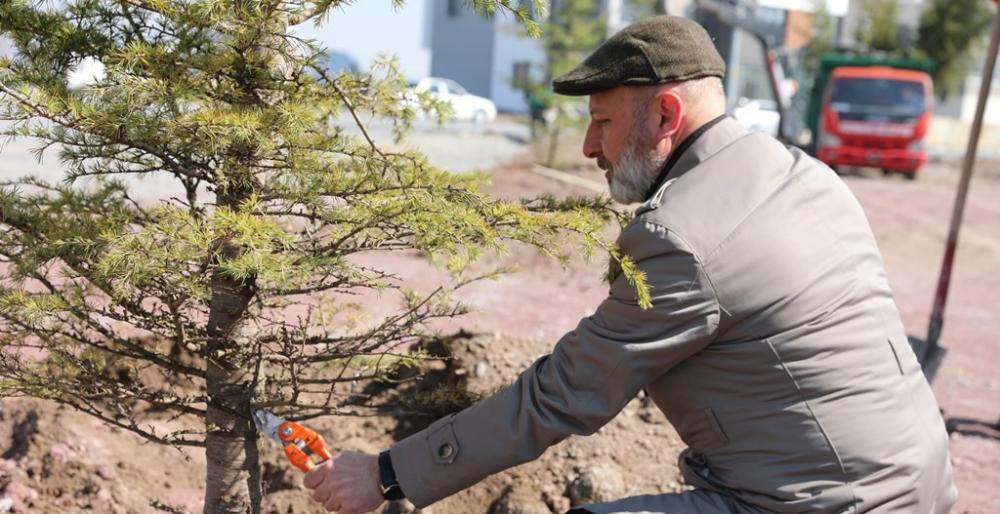 -KOCASİNAN, AĞAÇ DİKİM SEZONUNU AÇTI