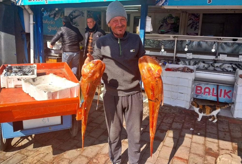 Gelibolu’da Acet Reis'in  Kırlangıç Bereketi