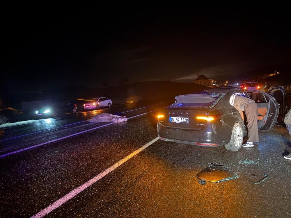 Bingöl'de yola çıkan ata otomobil çarptı: 4 yaralı