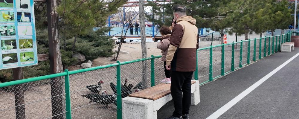 BÜYÜKŞEHİR’İN HAYVANAT BAHÇESİ’NDE BAYRAM YOĞUNLUĞU: 40 BİN ZİYARETÇİ