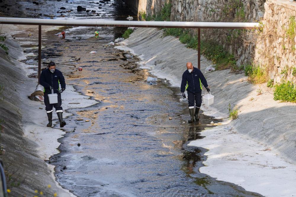 “MEVSİMSEL SİNEKLER ZARARSIZDIR”