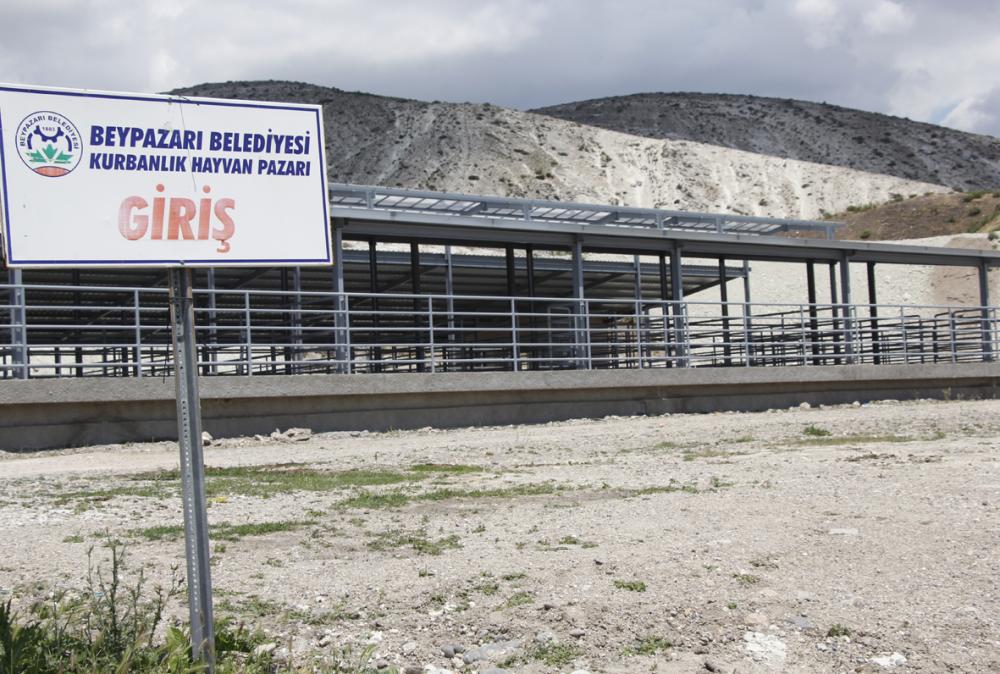 Beypazarı Hayvan Pazarı satışlara yeniden açılacak